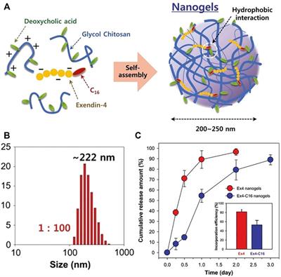 Design and Applications of Tumor Microenvironment-Responsive Nanogels as Drug Carriers